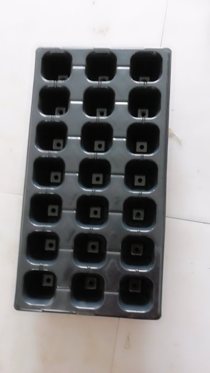 育苗盘PVC塑料21穴，50至200孔150克优质材料