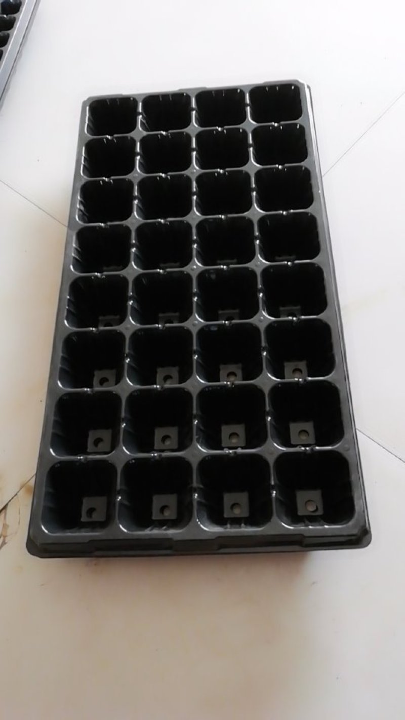 育苗盘PVC塑料21穴，50至200孔150克优质材料