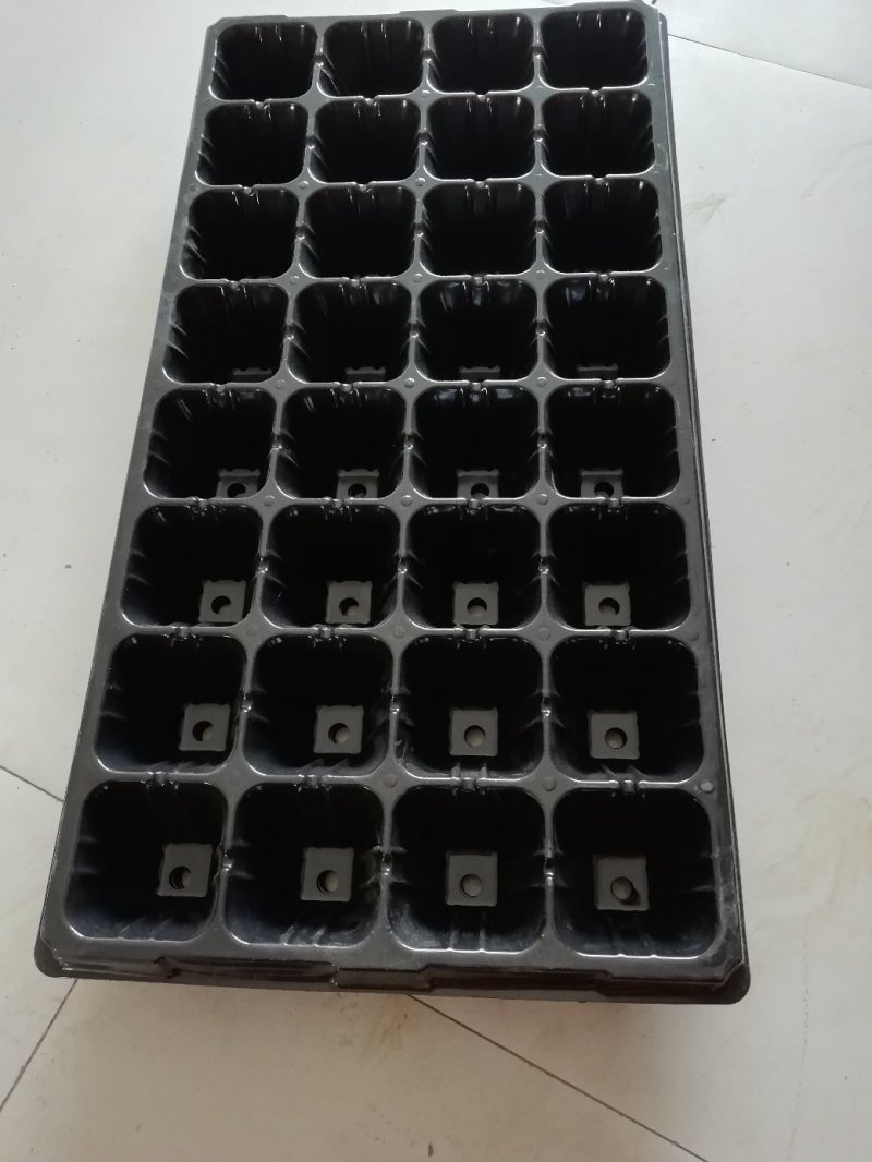 育苗盘PVC塑料21穴，50至200孔150克优质材料