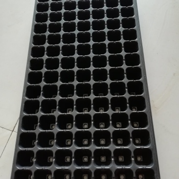 育苗盘PVC塑料21穴，50至200孔150克优质材料