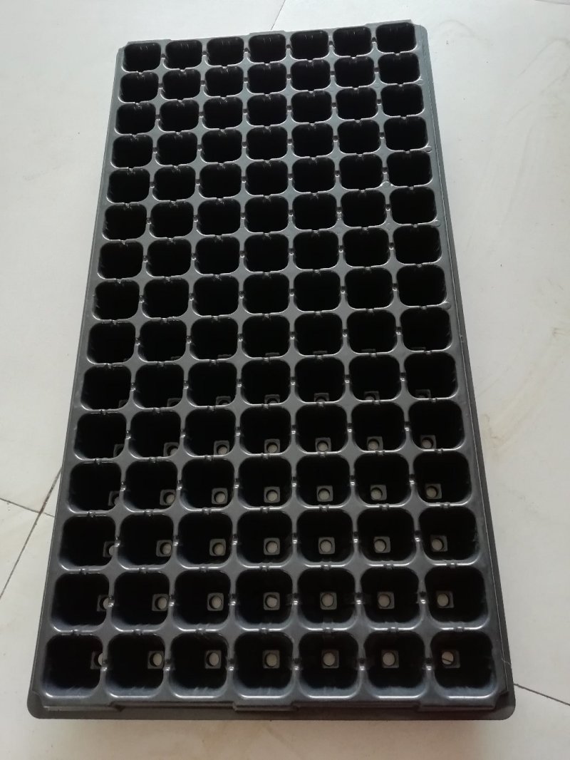 育苗盘PVC塑料21穴，50至200孔150克优质材料