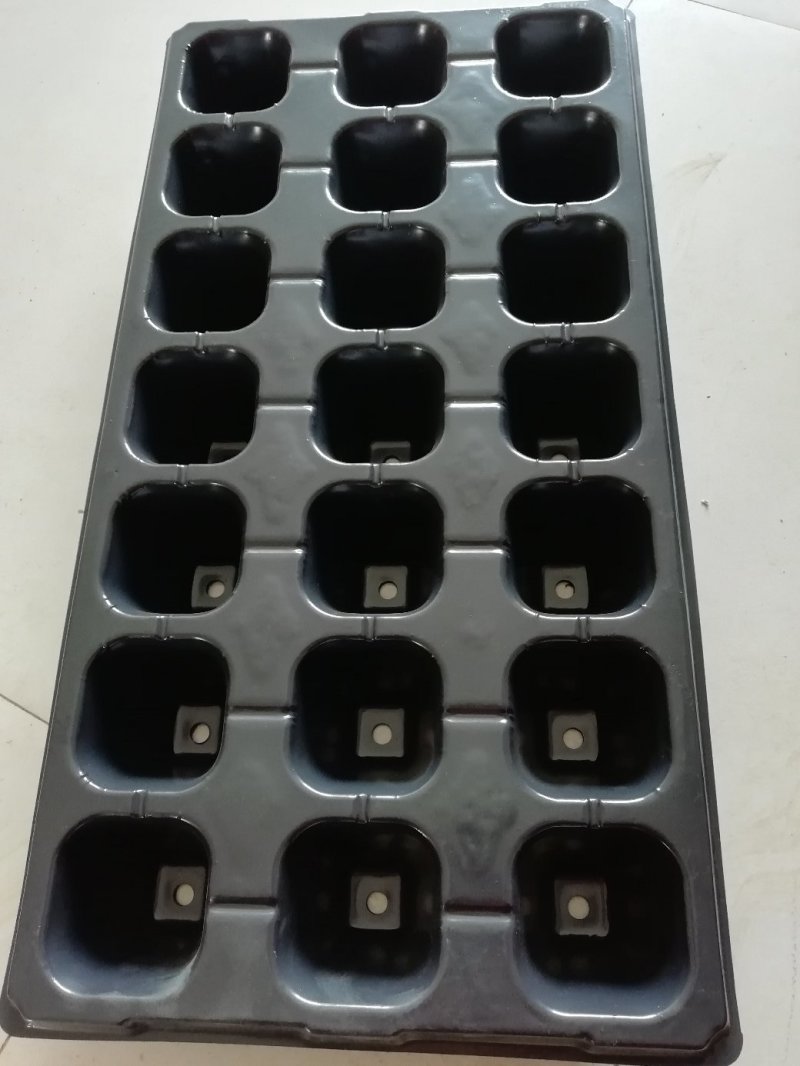 育苗盘PVC塑料21穴，50至200孔150克优质材料