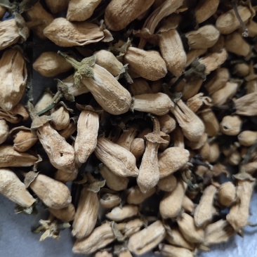 玳玳花关书药业批发各种规格中药