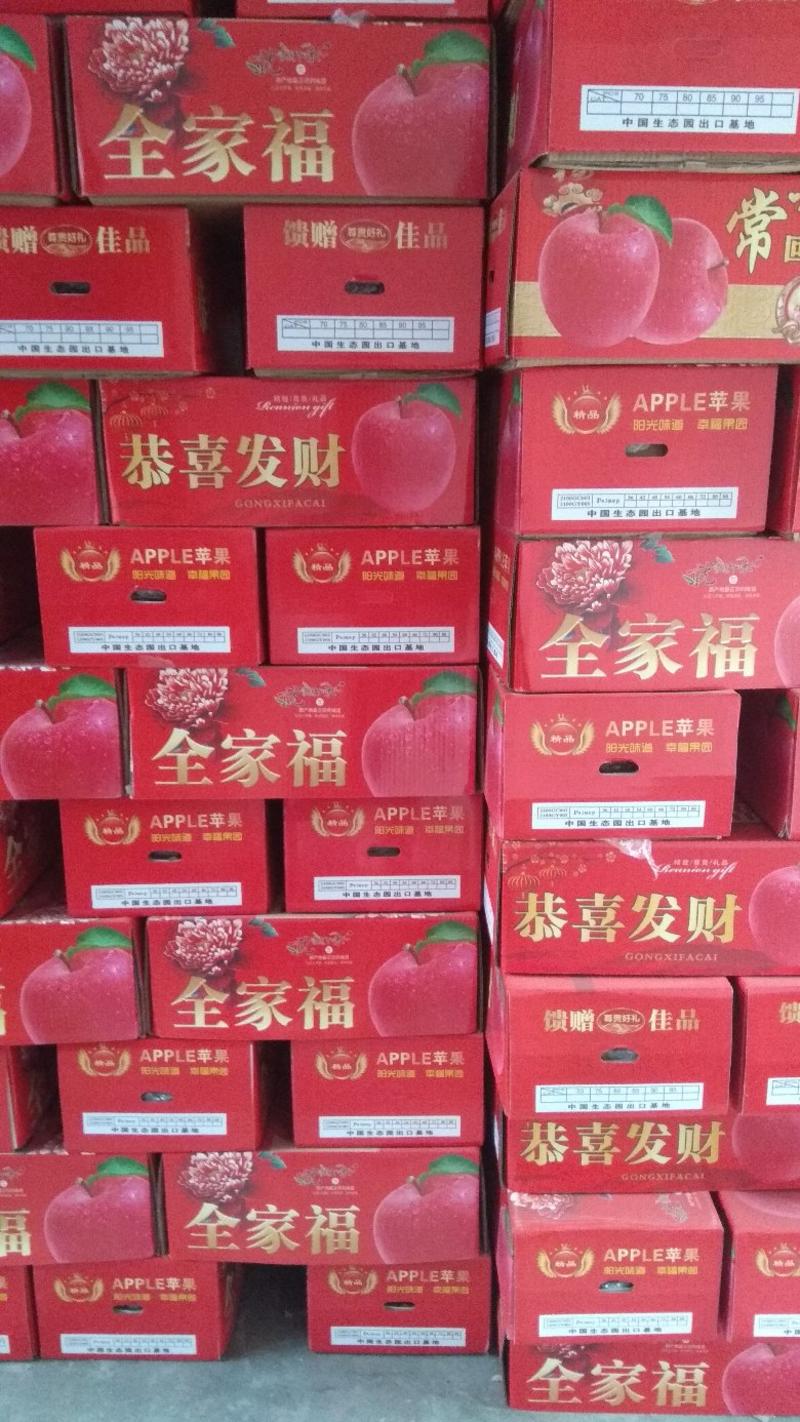 礼泉苹果，红富士苹果，脆甜膜袋红富士苹果