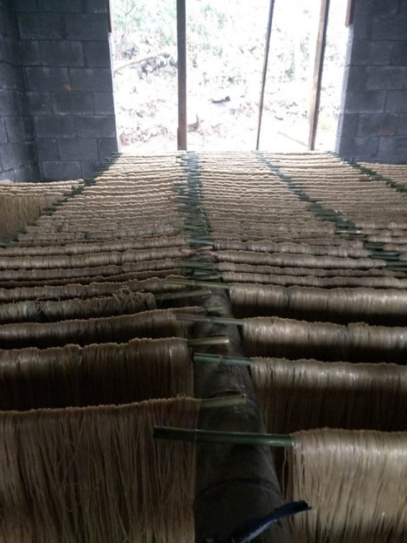红薯粉丝