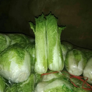 麻叶二青白菜