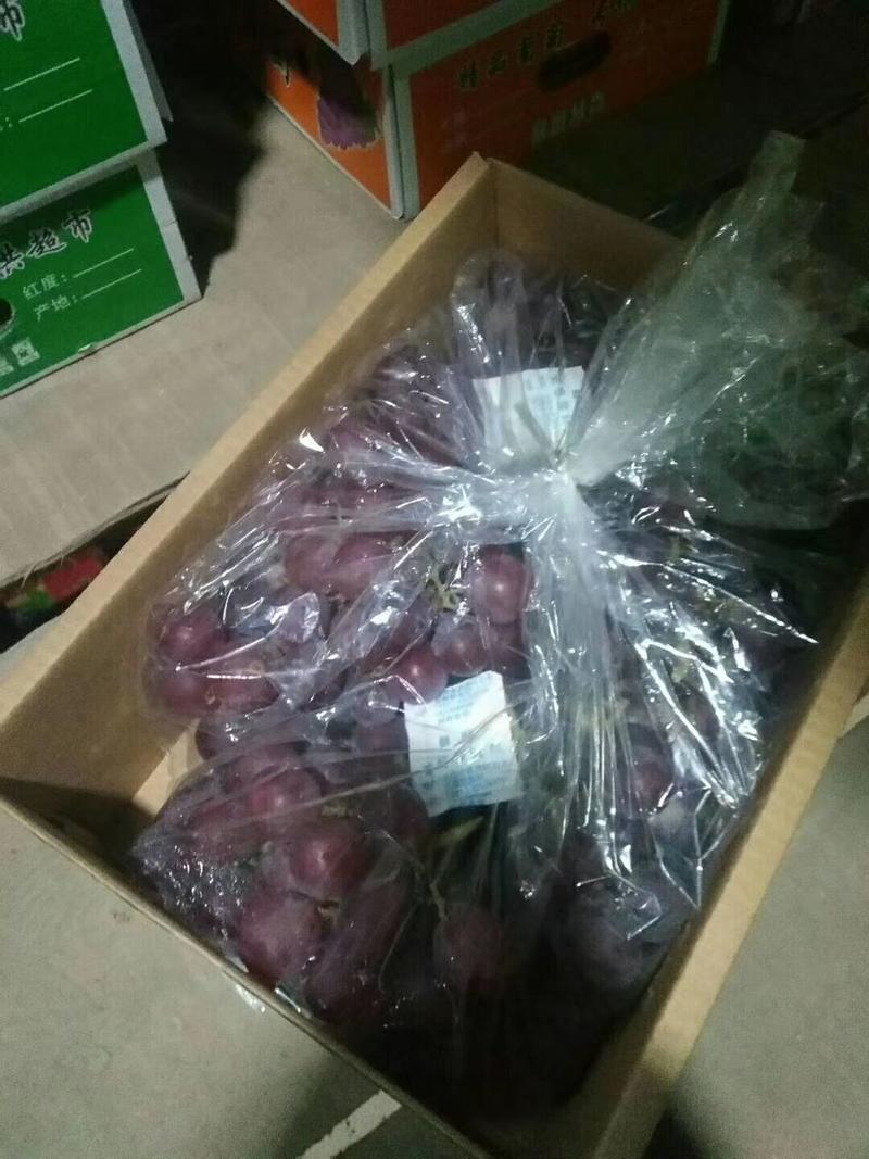 礼盒葡萄，巨峰甜葡萄净果5斤装。对接电商平台团购
