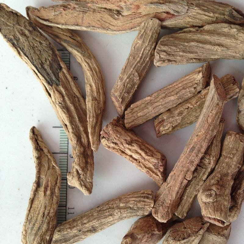 牛白藤毛鸡屎藤土加藤凉茶藤中药材