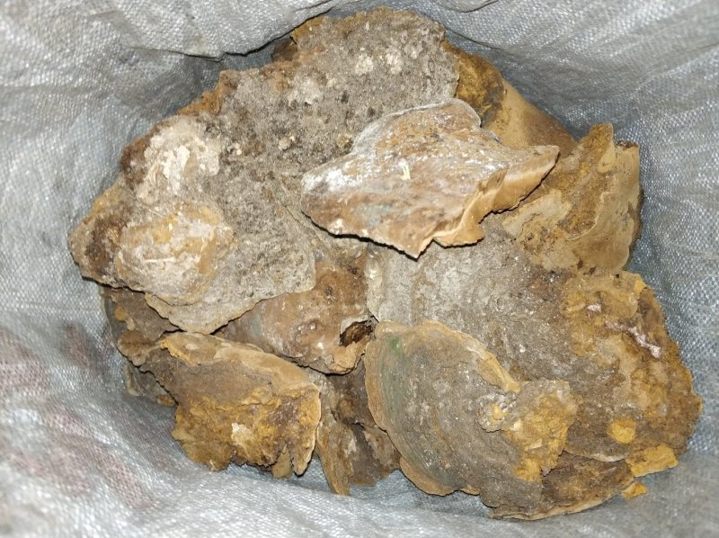 桑黄，野生桑黄，大桑黄，有没有喜欢的朋友
