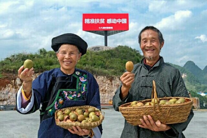 麻辣牛肉、优质大米、十八洞黄金茶、乳鸽、山羊、腊肉、土蜂