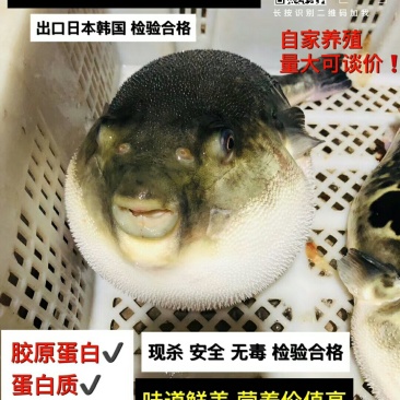 王氏水产