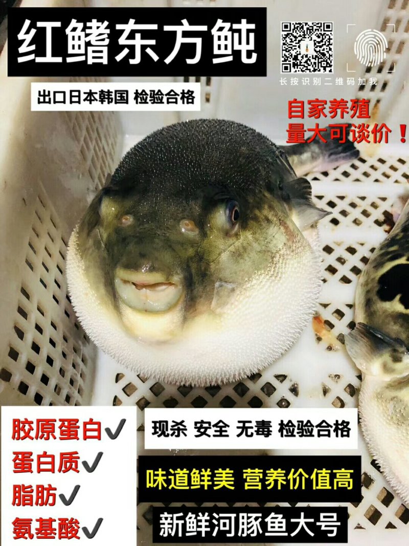 王氏水产