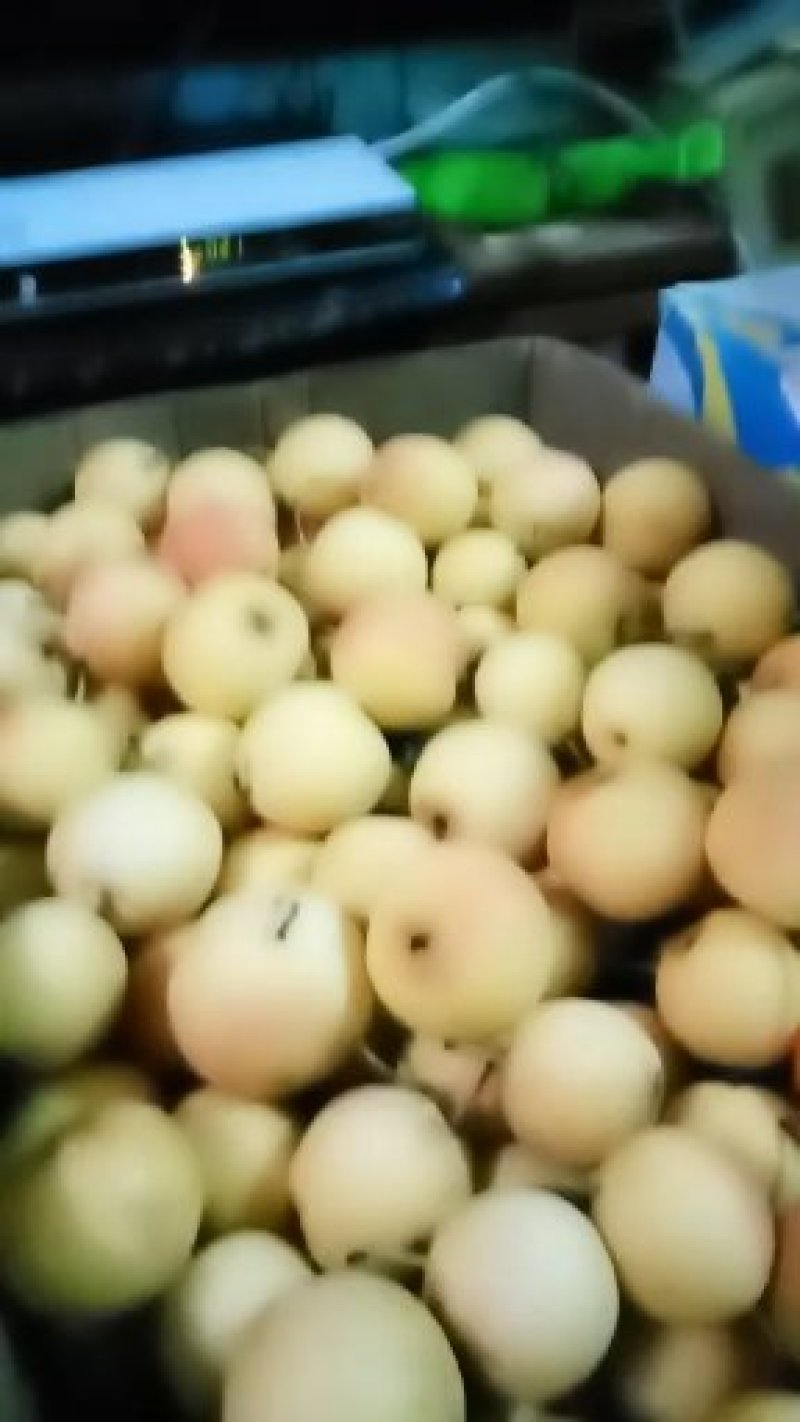 南果梨