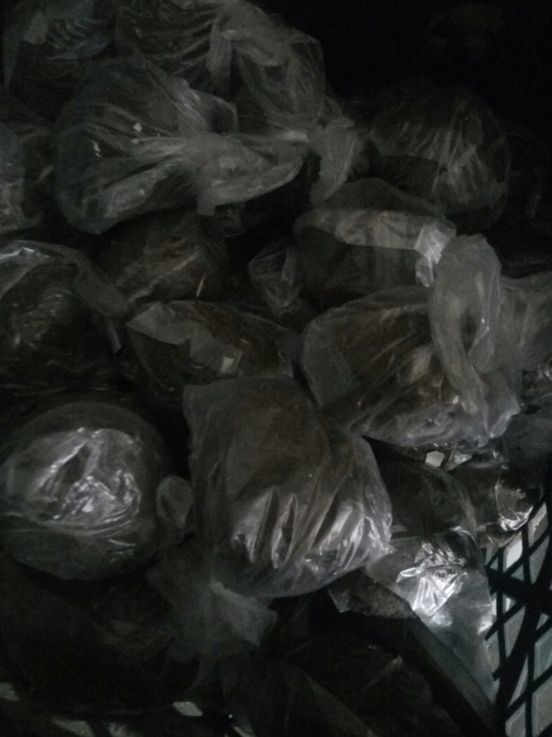 雄安新区白洋淀特产鸭蛋