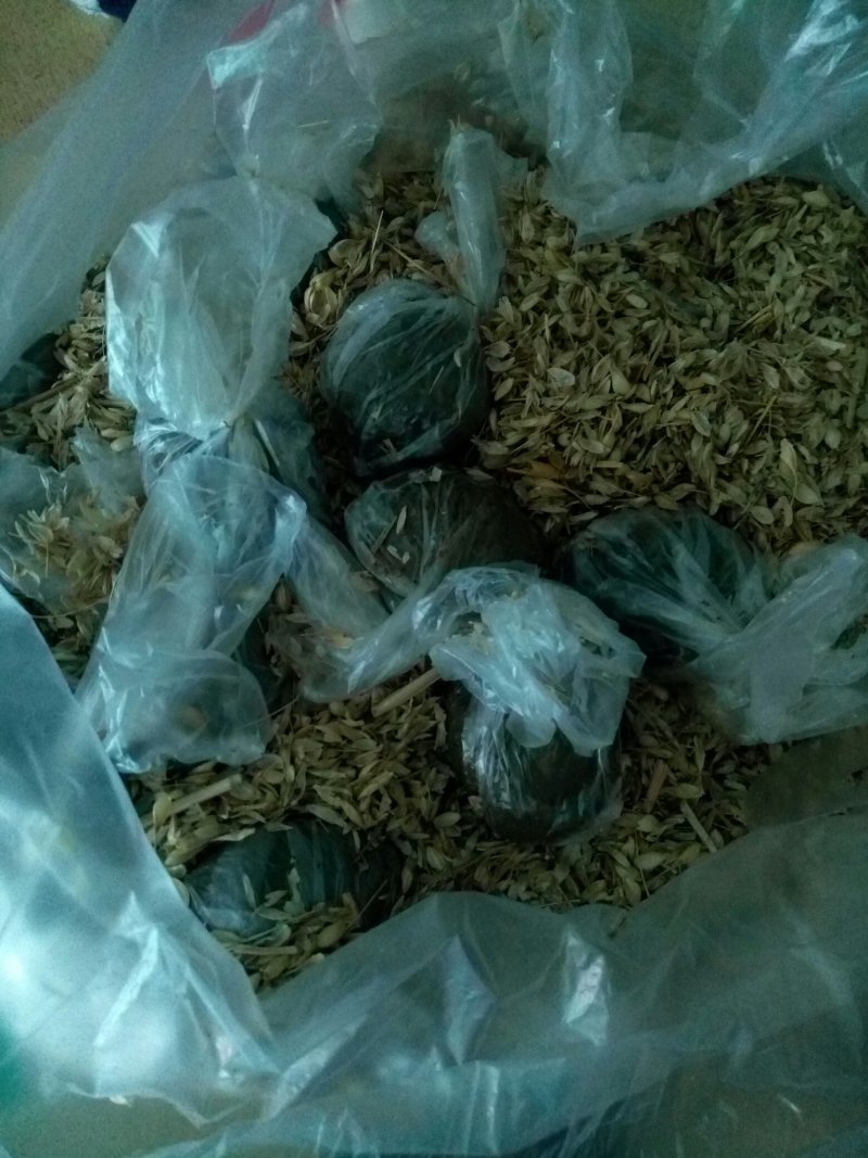 雄安新区白洋淀特产鸭蛋