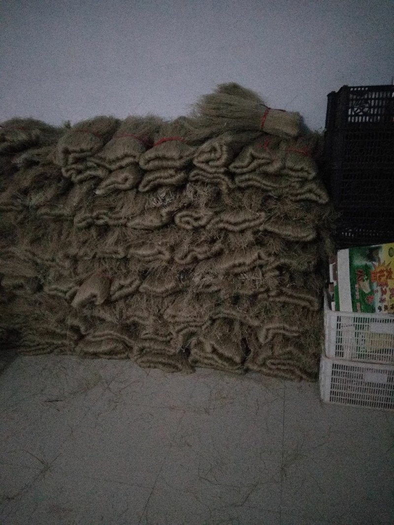 纯红薯粉条保真