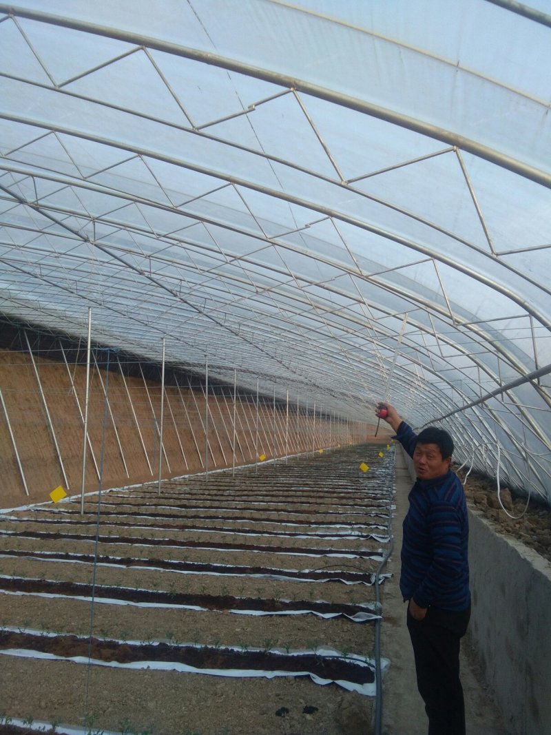 钢管大棚。每吨4300元。每平方一米30元