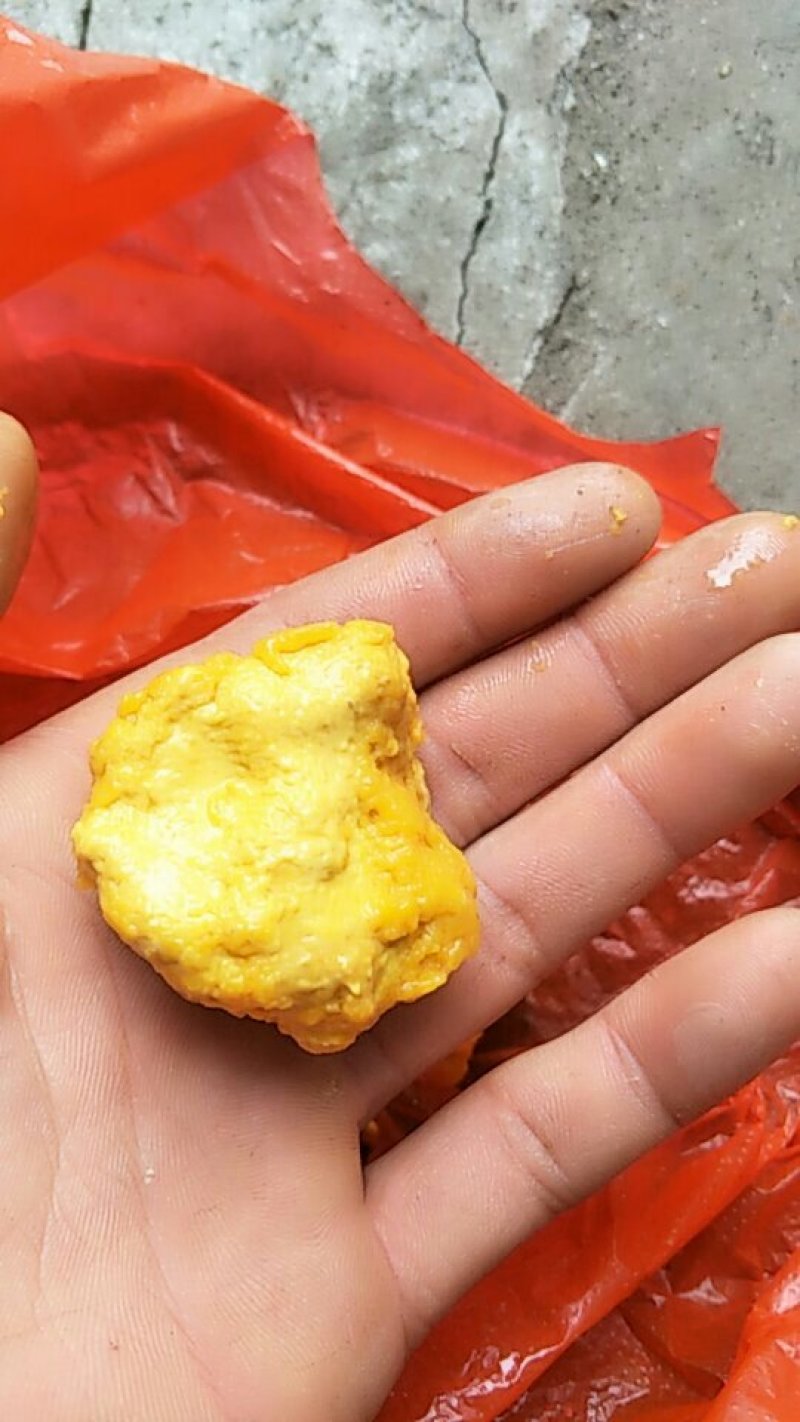 鸡黄