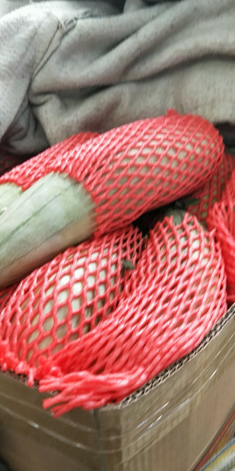 羊角蜜甜瓜，羊角脆，博羊系列，绿宝，各色圣女果，能开发票