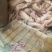 新鲜小猪猪睾丸猪卵子猪小宝猪外腰滋补食品量大包邮