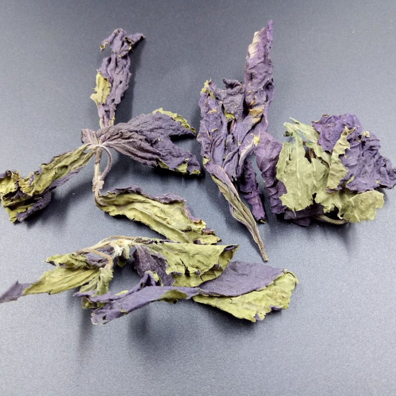 紫苏叶，野生包含量批发各种规格中药材