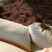 油茶籽现货10出油率23%湖北麻城