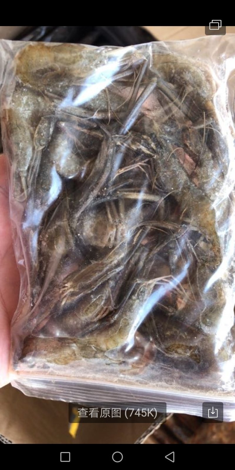 4一6公分青虾