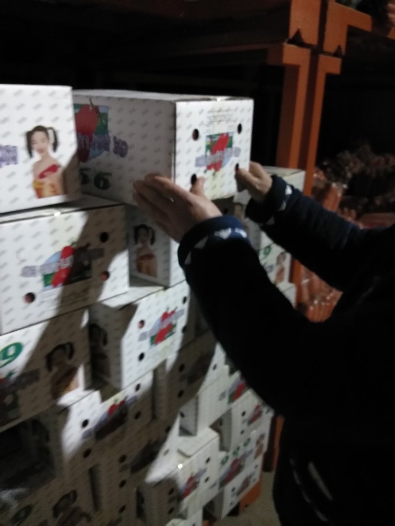 精品红萝卜，产地直销！500亩基地红萝卜一手货源