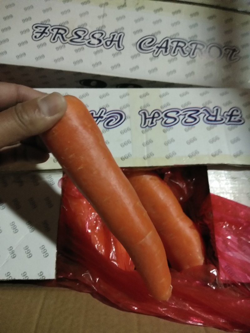 精品红萝卜，产地直销！500亩基地红萝卜一手货源