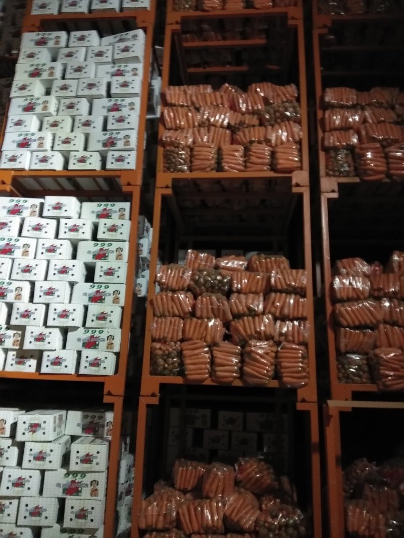 精品红萝卜，产地直销！500亩基地红萝卜一手货源