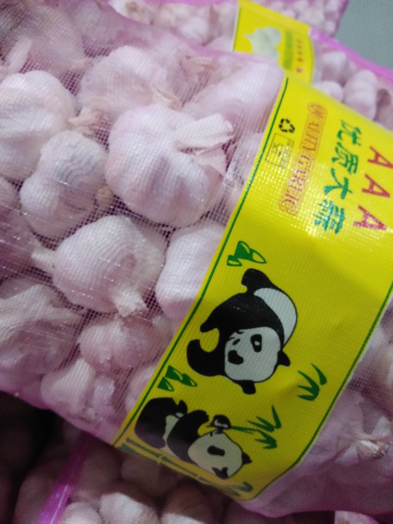 大蒜，精品质量，5.5-6.0以上走市场！欢迎你的到来！
