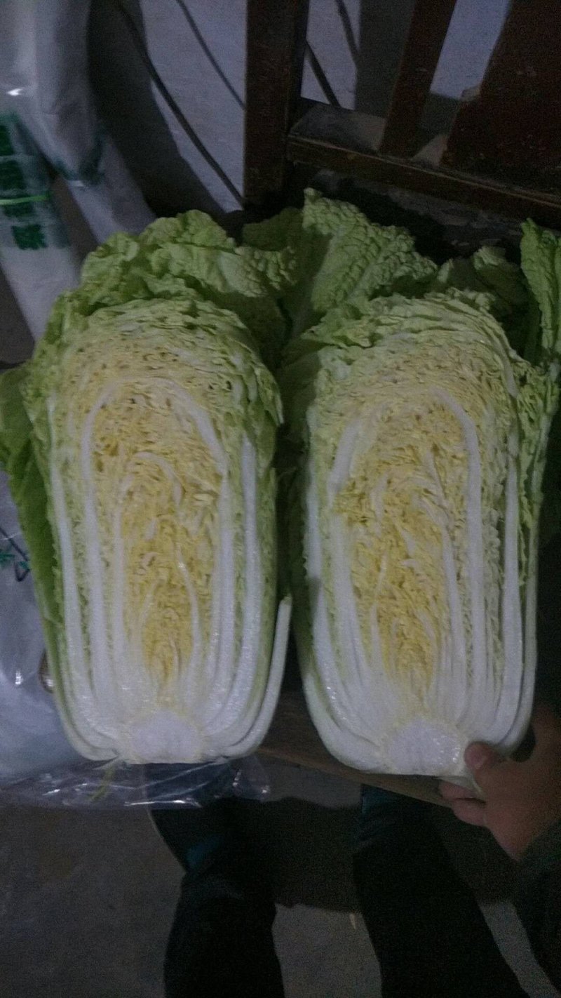 【实力商家】白菜北京三号白菜净菜山东精品常年有货