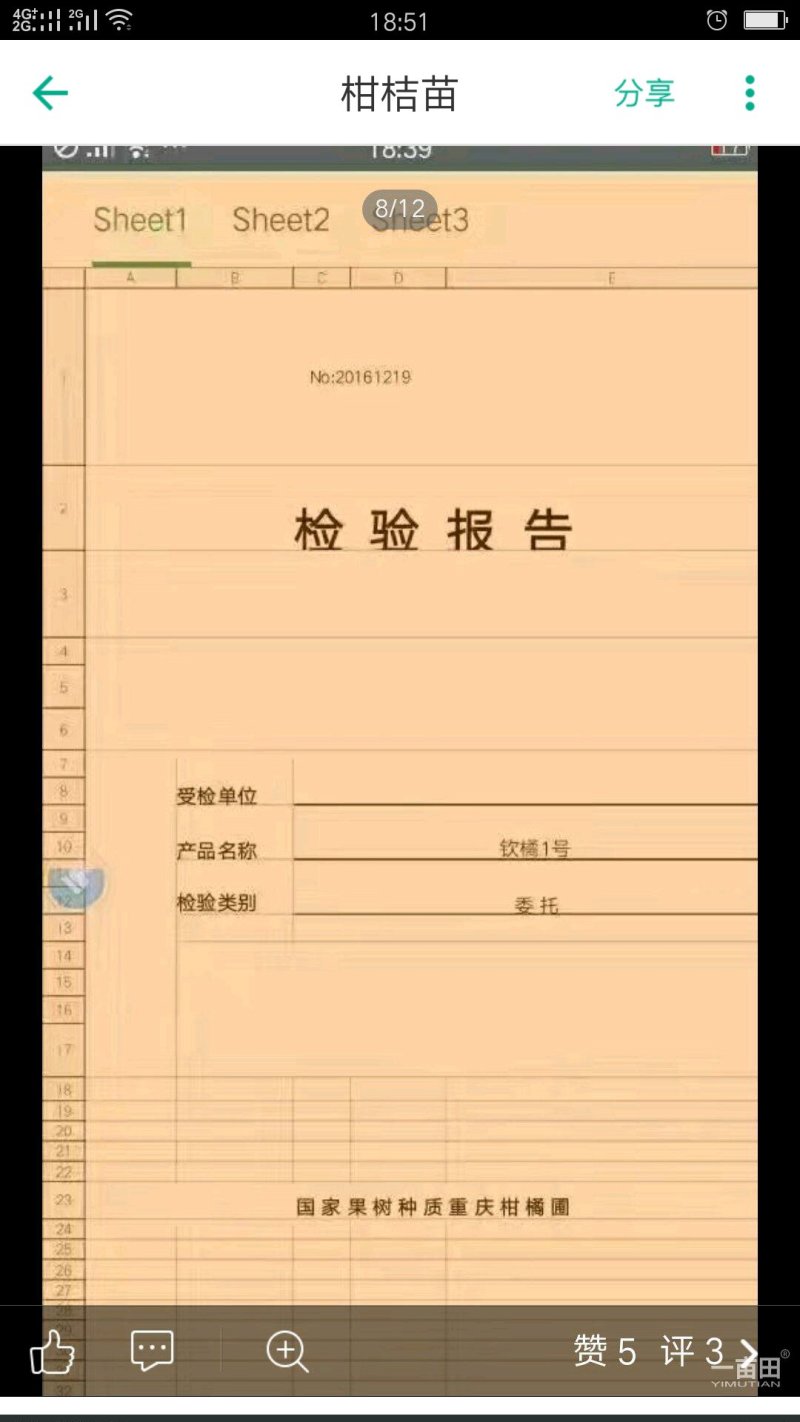 柑桔苗钦桔一号新品种保护品种唯我授权推广他人销售为假冒侵