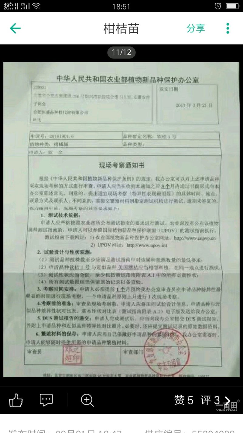 柑桔苗钦桔一号新品种保护品种唯我授权推广他人销售为假冒侵