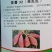 西瓜红红薯苗西瓜红地瓜苗上市，脱毒冷棚育苗，