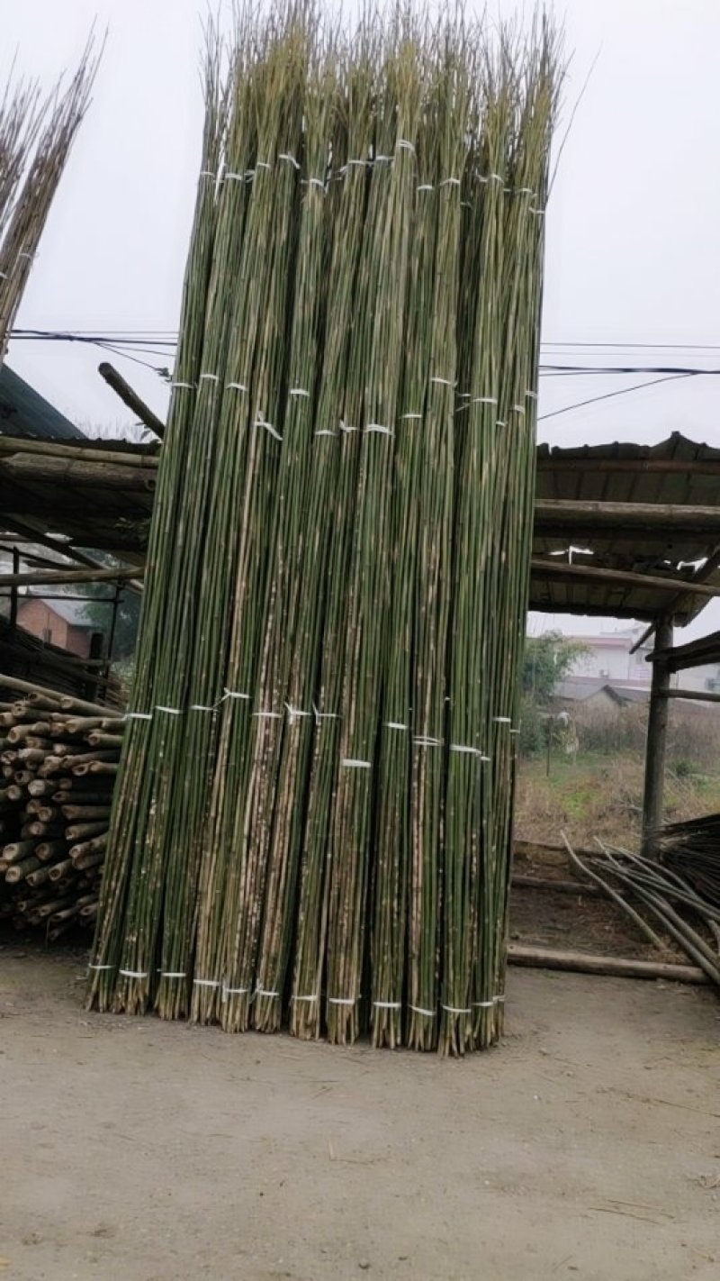 常期供应各种规格莱架竹丶竹片