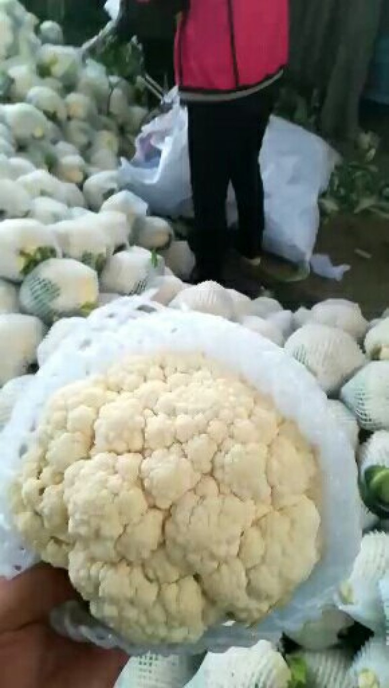 菜花
