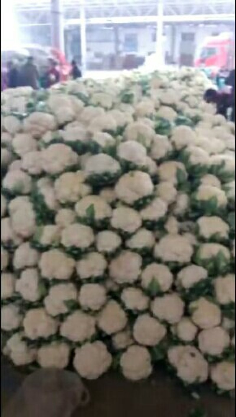 菜花