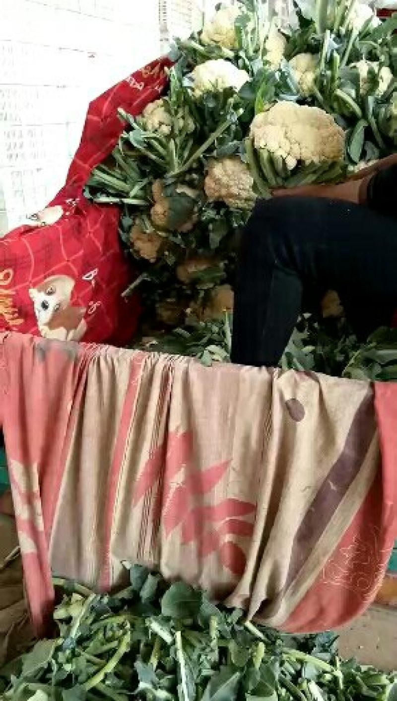菜花