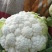 菜花