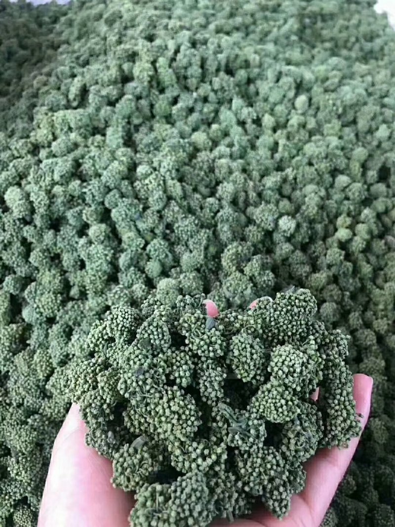 2022年新花云南文山三七花产地直销四年花包邮