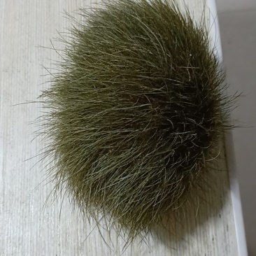 猪宝