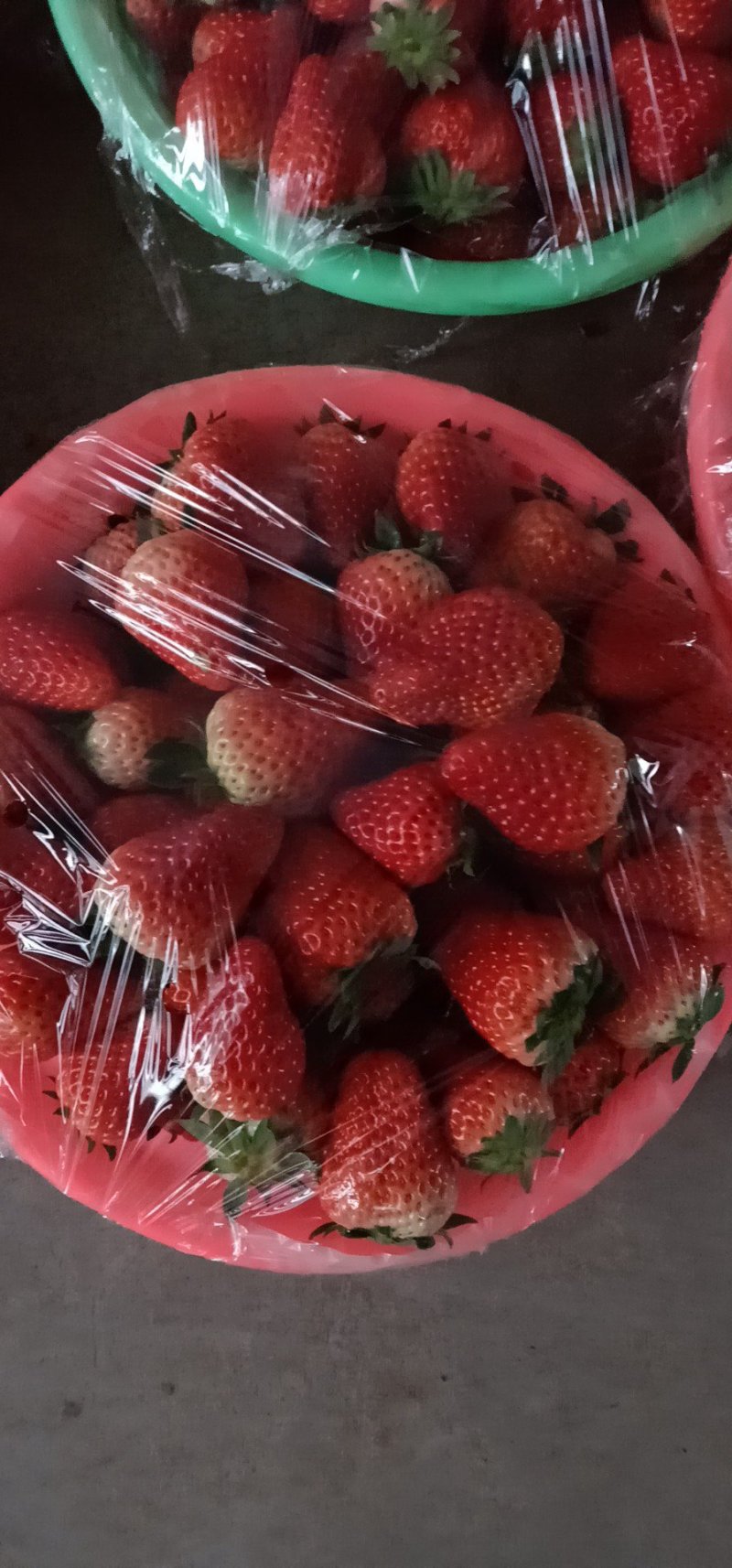 红颜草莓，，，，，，