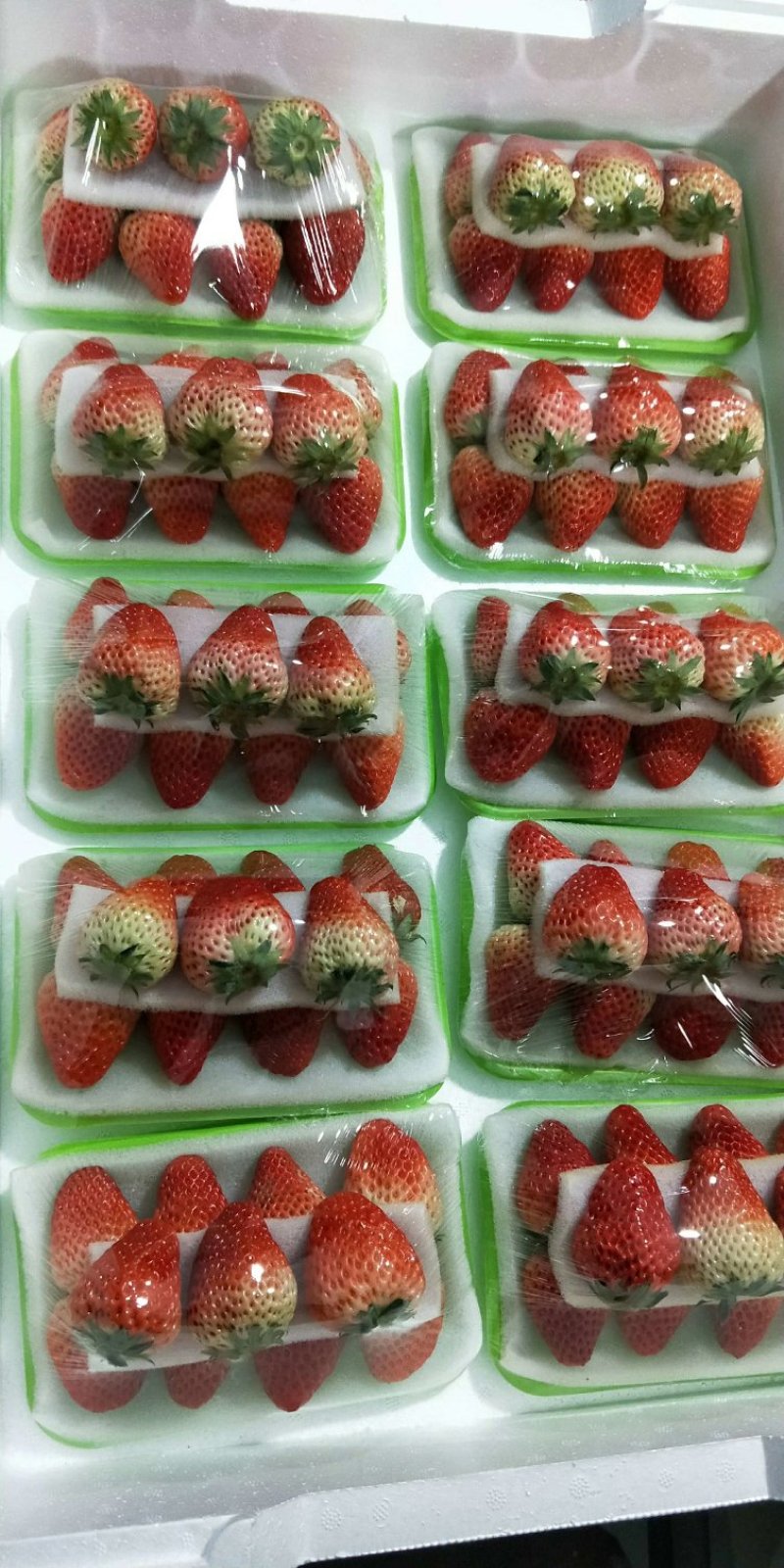 丹东草莓白果十合一