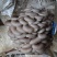 菌包出售，菌包重量3公斤左右，出菇率最少2公斤左右