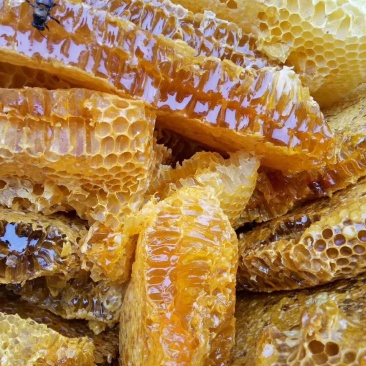 真正纯野生蜂蜜，蜂蜜中的精品。