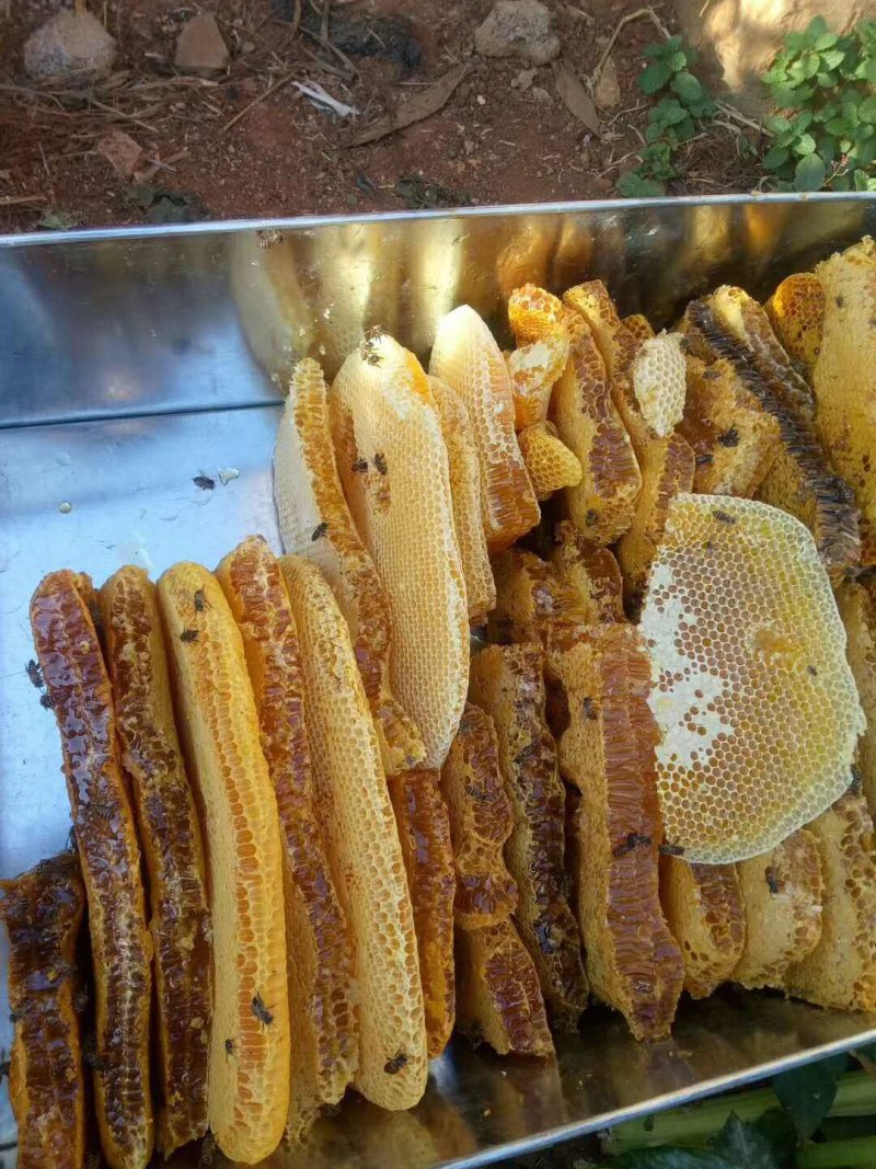 真正纯野生蜂蜜，蜂蜜中的精品。