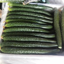 黄瓜