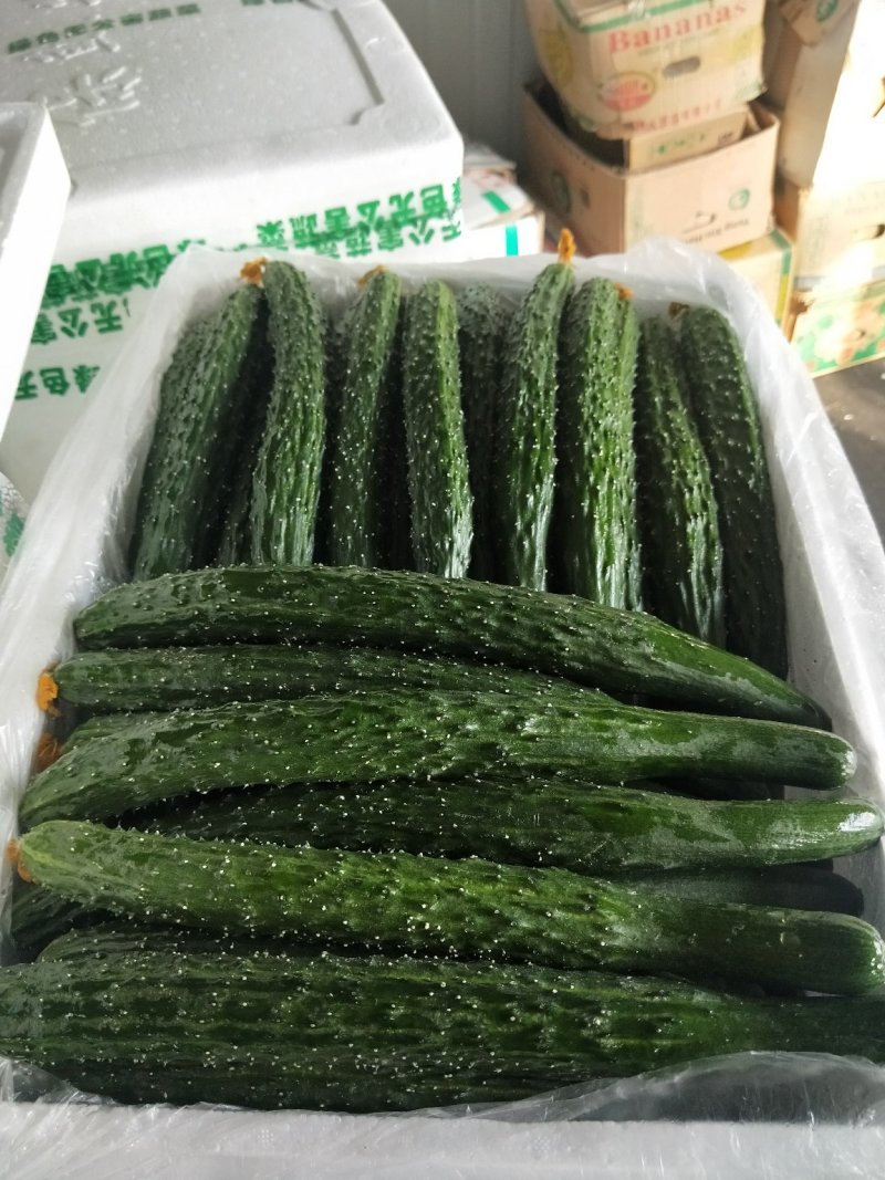 黄瓜