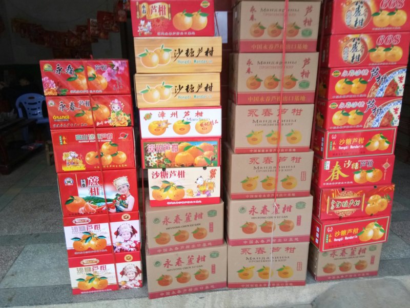 芦柑
